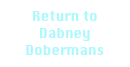 Return to Dabney Dobermans