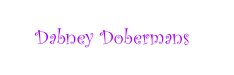 Dabney Dobermans